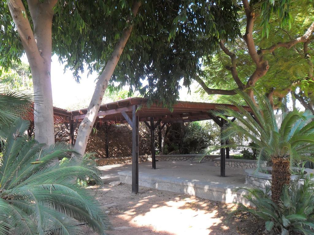 Almog Kibbutz Hotel Экстерьер фото